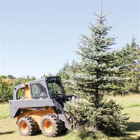 Ultimate Guide to Purpose-Built Forestry Compact Track Loaders in 2026: Features, Comparisons, and Top Models for Tough Terrain